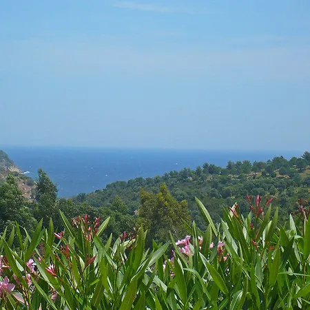 Valao Roquebrune-sur Argens